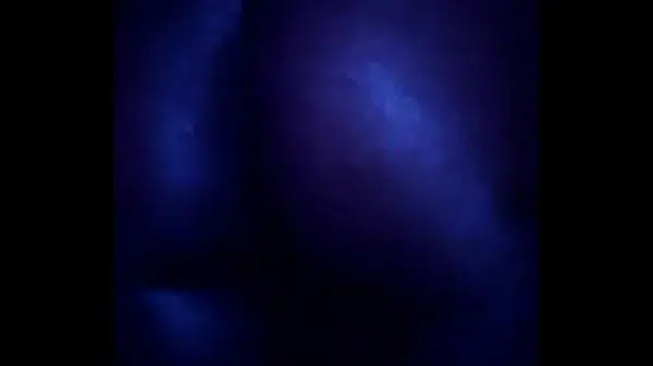 Wet pussy